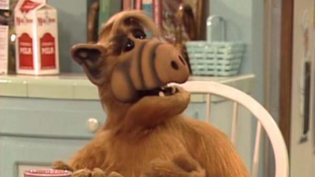 Alf