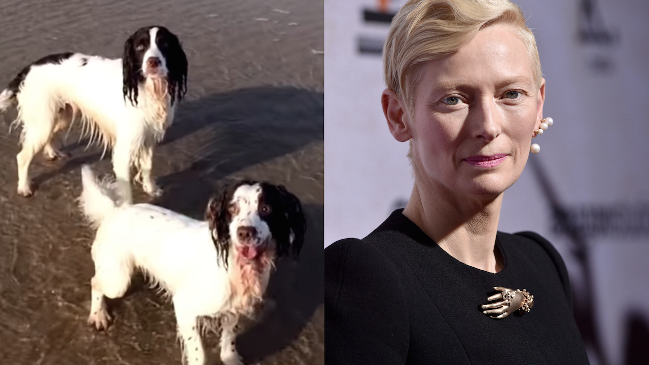 Tilda Swinton clip chiens Haendel