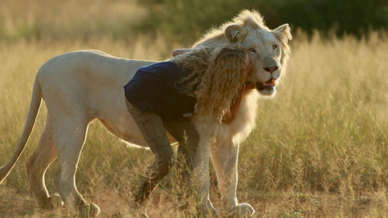 Mia et le lion blanc