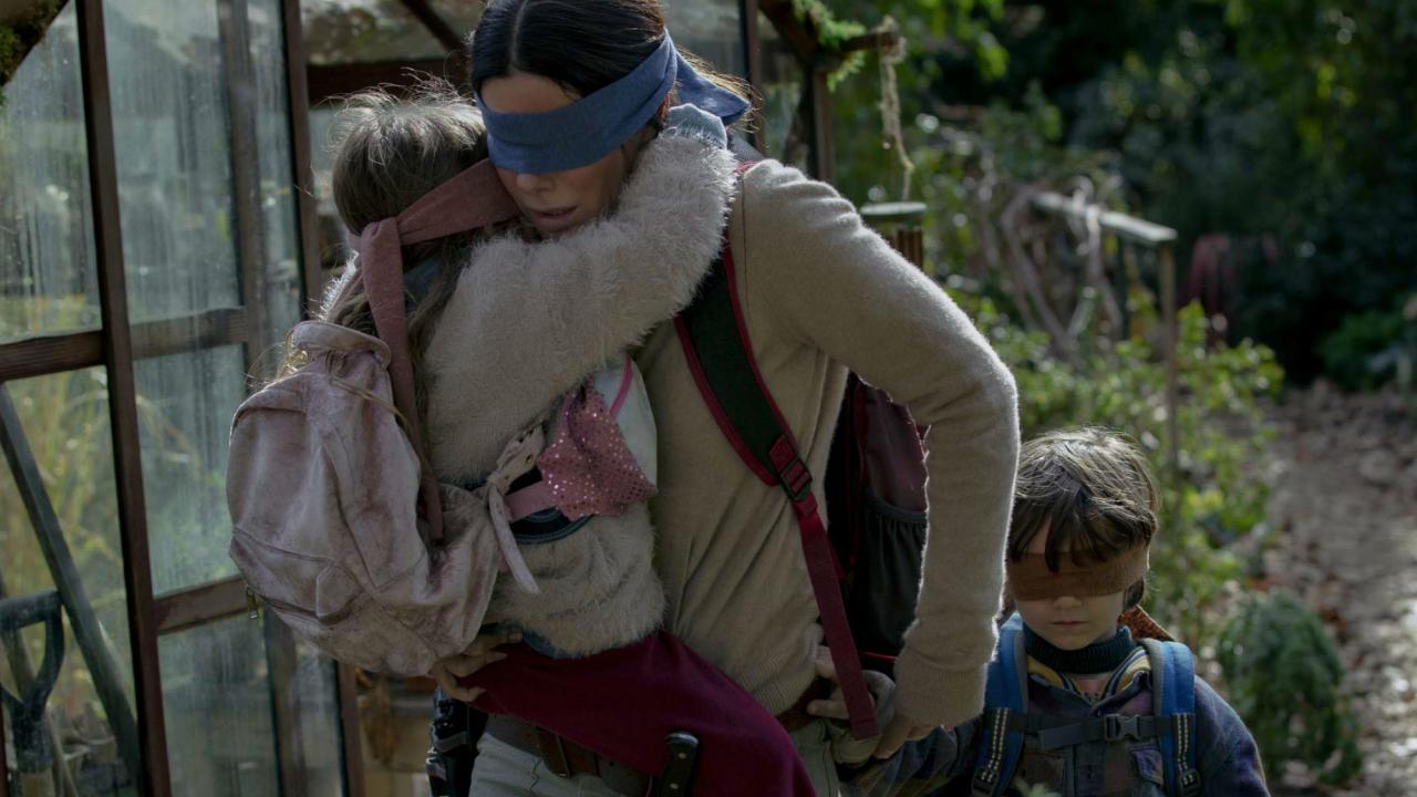 Bird Box