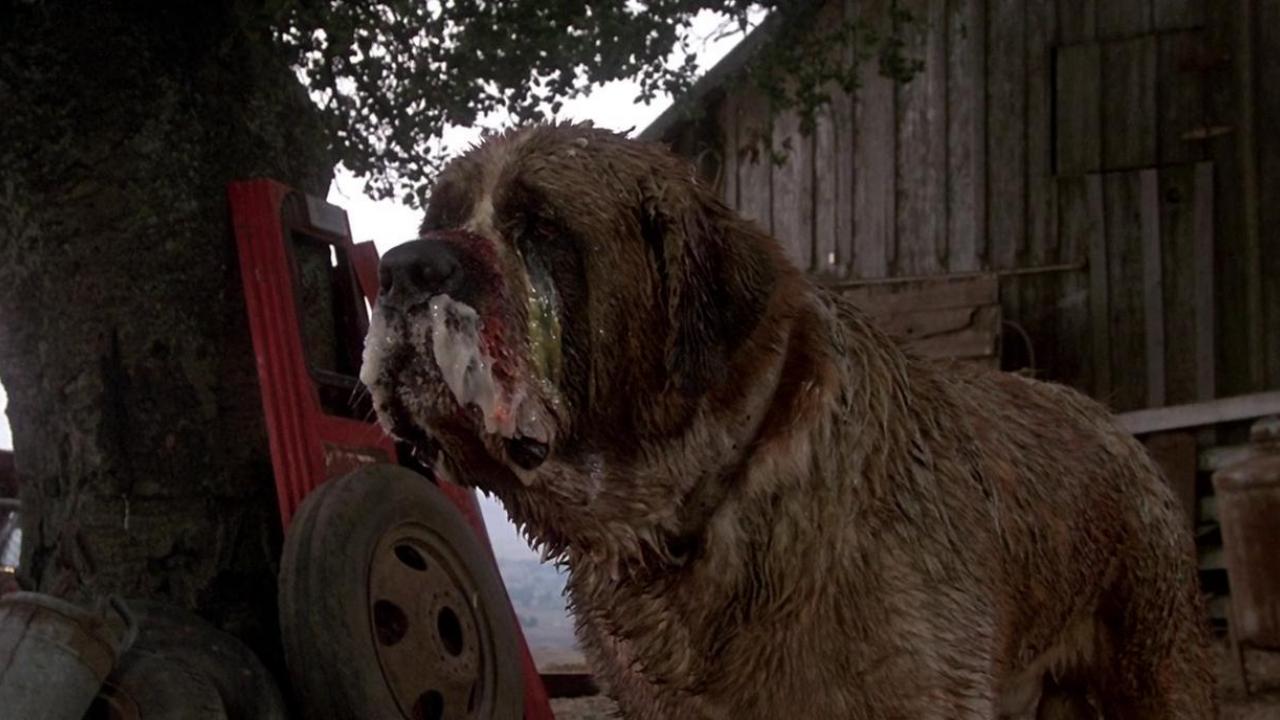 Cujo Netflix