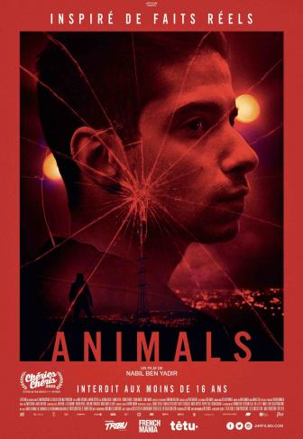 Affiche d'Animals