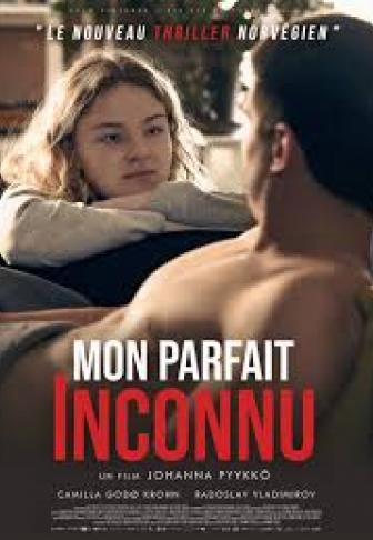 Mon parfait inconnu – Affiche