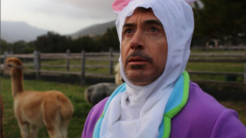 Robert Downey Jr. animaux