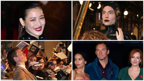 Avant-première des Animaux fantastiques 2 à Paris : Les plus belles photos du tapis rouge !