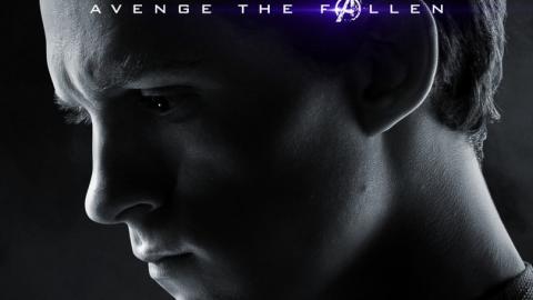 Avengers Endgame : Spider-Man (Tom Holland)