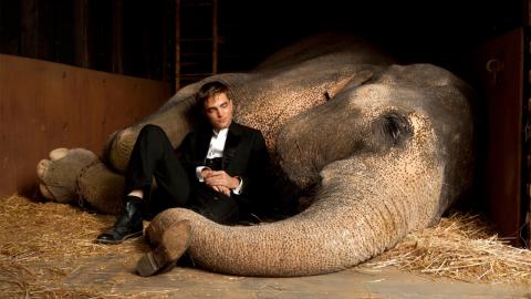 Water for Elephants