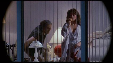 1. BODY DOUBLE (1984)