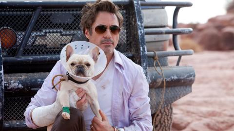 Robert Downey Jr. dans Date limite