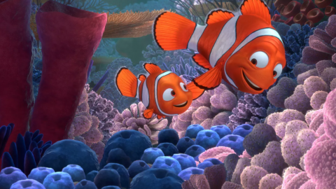 Le monde de Nemo