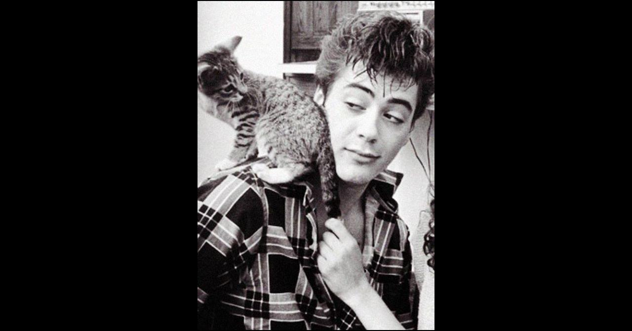 Robert Downey Jr. animaux