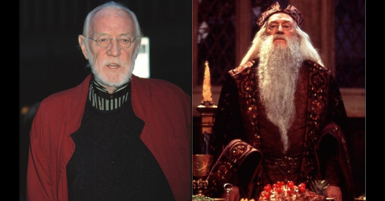 Richard Harris Albus Dumbledore