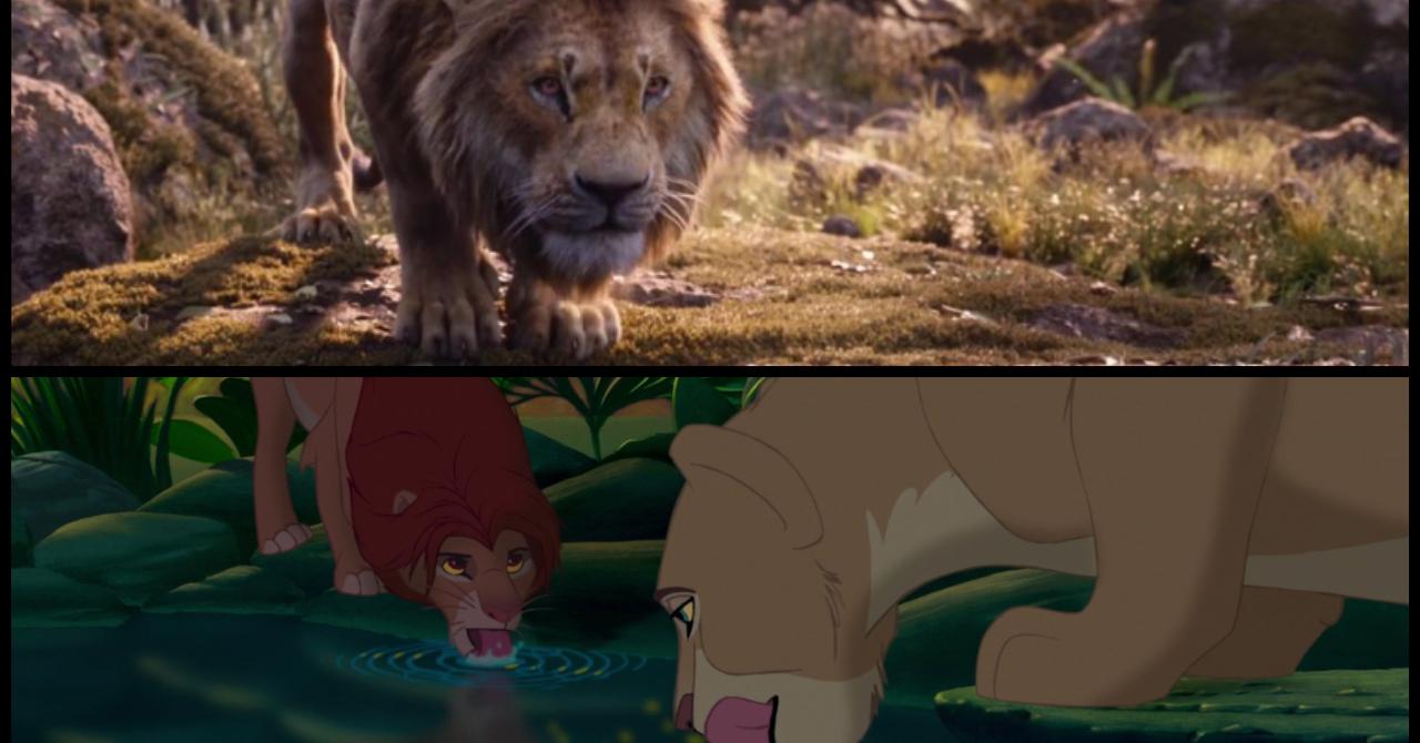 Le Roi Lion 1994 vs. 2019 : Simba adulte