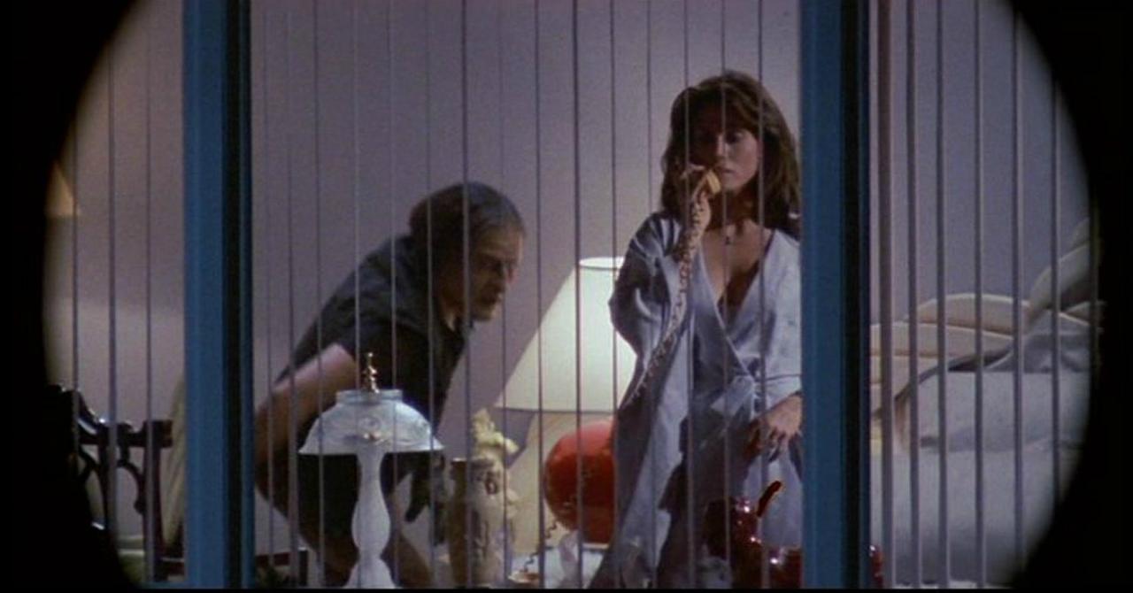 1. BODY DOUBLE (1984)