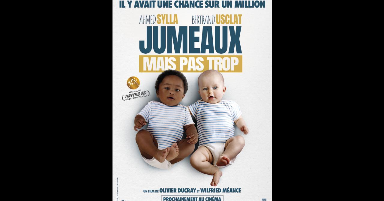 Jumeaux mais pas trop - affiche