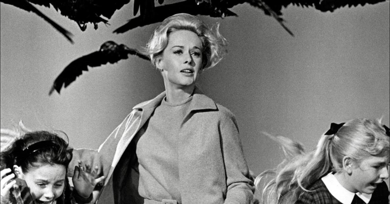 Tippi Hedren dans Les Oiseaux