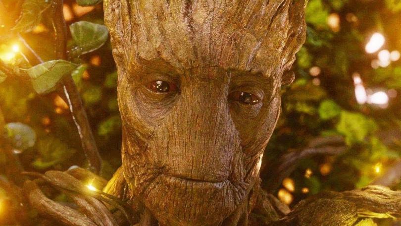 Groot