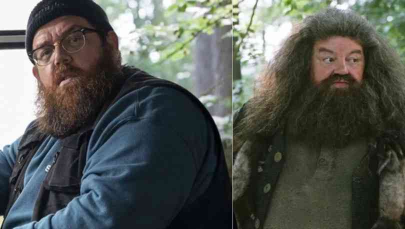 Nick Frost sera Rubeus Hagrid